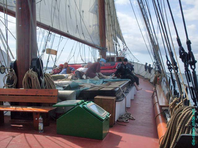SDC12719
