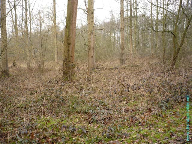 P1020728