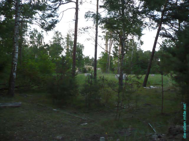 P1030039